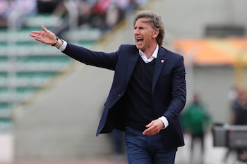 Foto de archivo del entrenador