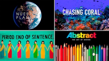 Netflix liberó contenido gratuito en