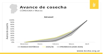 Avance de cosecha de cultivos estivales del ciclo 2025/26 en Córdoba