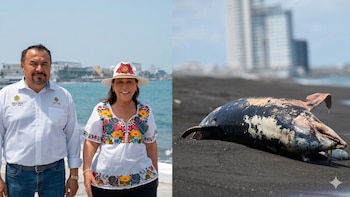 Rocío Nahle y Pemex supervisan playas del Golfo de México para fin de semana vacacional: “Están limpias”, aseguran