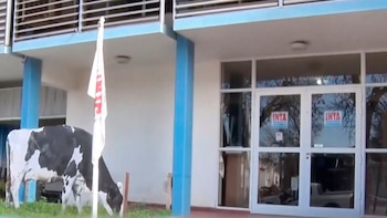 Cierran en Córdoba una oficina del INTAclave para la industria láctea: sus técnicos adhirieron al retiro voluntario