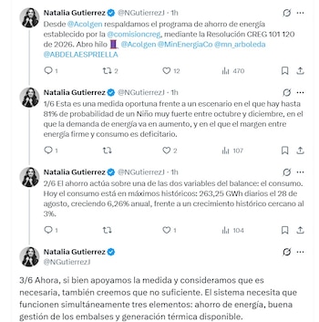 Natalia Gutiérrez, presidenta de Acolgen, señaló que si bien apoyamos la medida y consideramos que es necesaria, también creemos que no suficiente - crédito @NGutierrezJ/X