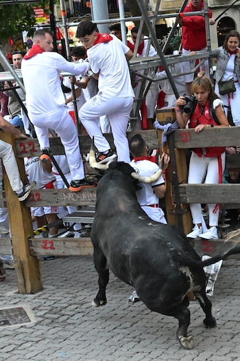 Un toro de la ganadería