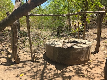 El PMA estima que al menos 500.000 personas más en Honduras podrían caer en inseguridad alimentaria por la falta de lluvias y el fenómeno de El Niño. (Oscar Ortiz)