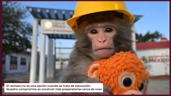 Con mono Punch, gobierno de