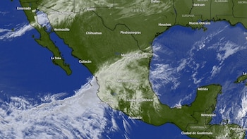 Claudia Sheinbaum realizó giras de