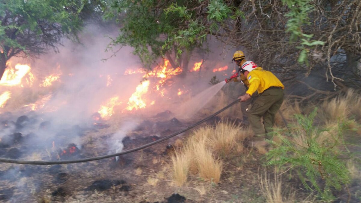 Modificaron la Ley de Ministerios y Seguridad se encargará del Sistema Nacional del Manejo del Fuego