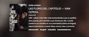 "Las flores del Capitolio" mezcla romance, política y ficción histórica en una trama ambientada en la Bogotá de finales de los años 80 - crédito @alliesoulss/Wattpad