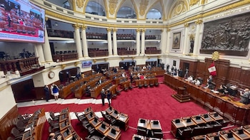 Congreso: plantean plazo máximo de