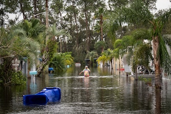 Imagen XMLBXRD67NEO7ELCXSQ423Y6N4