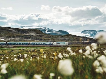 Vy train, en Noruega
