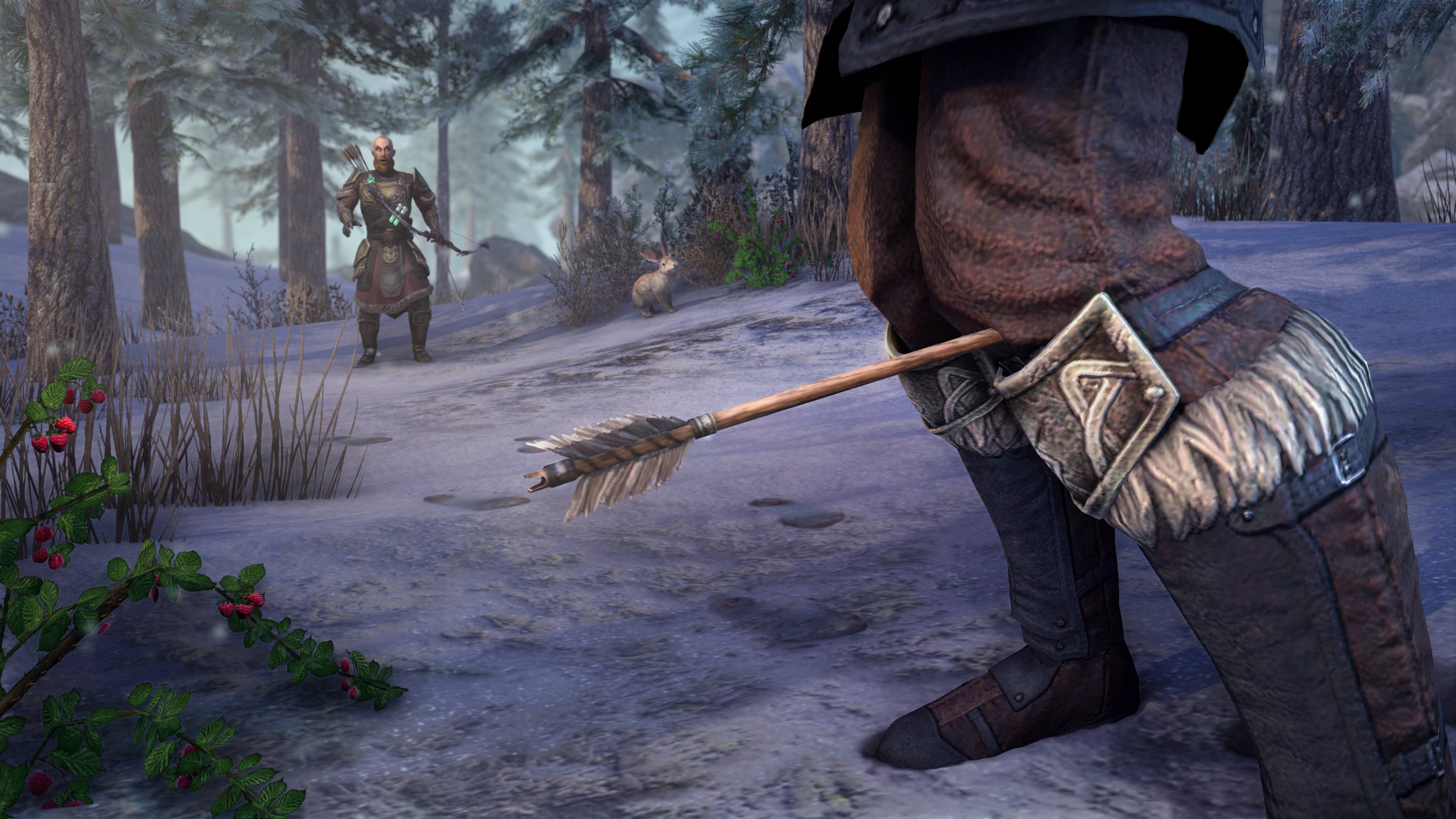 The Elder Scrolls Online, de ZeniMax Online Studios.