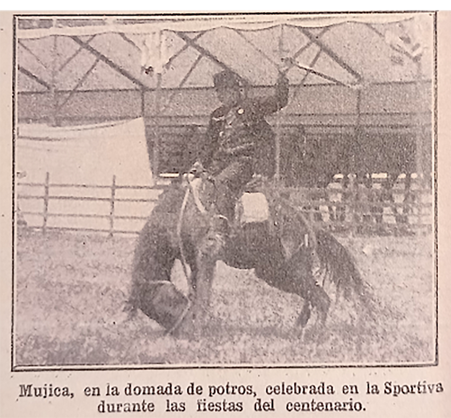 La destreza de Francisco Laudelino Mujica en la doma de potros, durante sus presentaciones en los festejos del primer centenario de la Revolución de Mayo, le valió un reconocimiento internacional