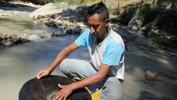 En 2020 aumentó la explotación