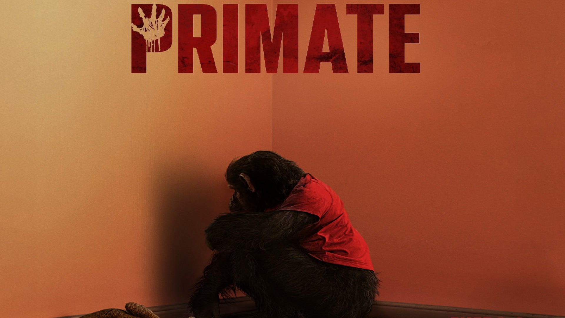 Estreno de la película de terror "Primate" con clasificación C en México
