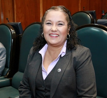 La diputada de Morena, Luz