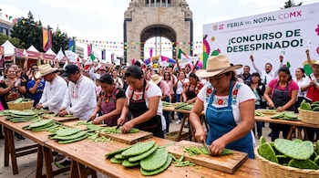 Concursantes cortan espinas de nopales en tablas de madera sobre mesas largas, rodeados por espectadores frente a un monumento.
