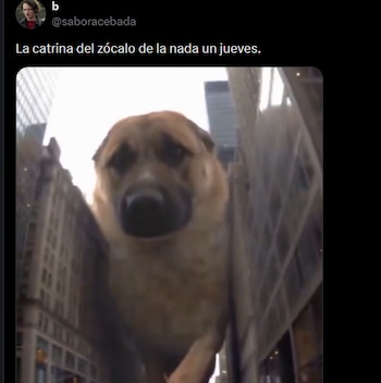 catrina meme zocalo