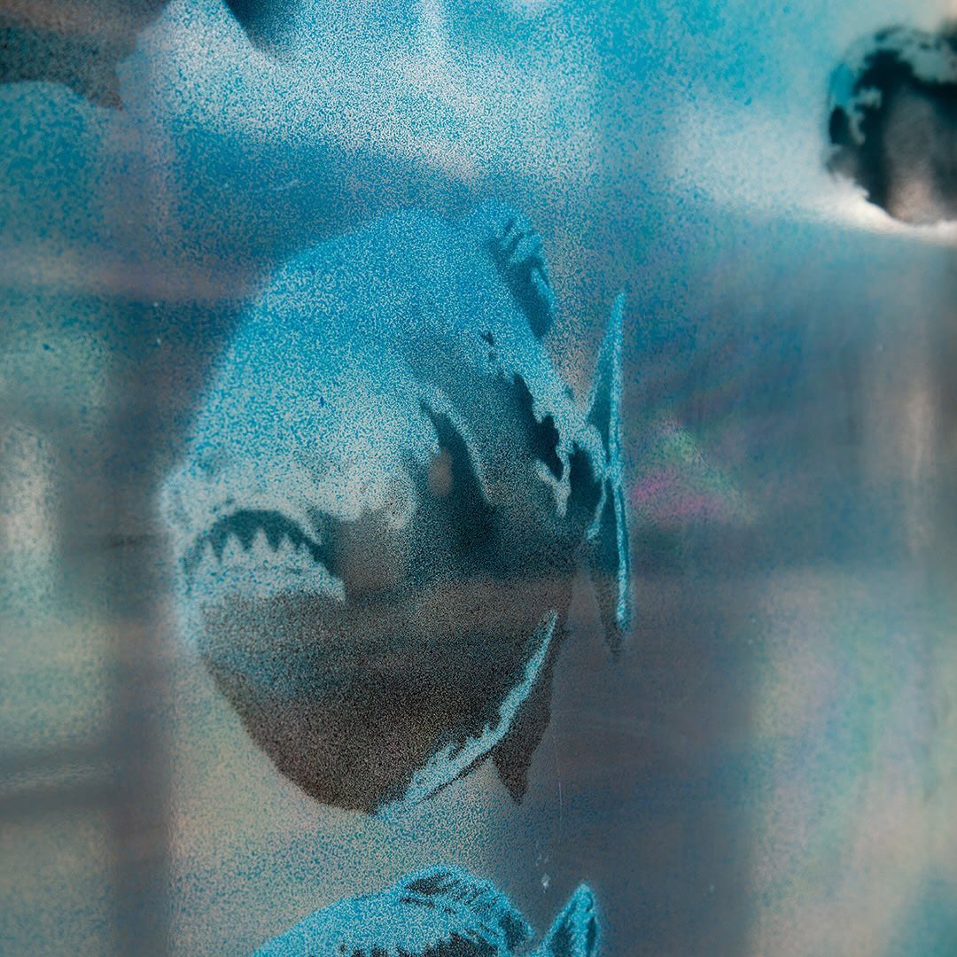 La piraña de vientre rojo, con sus potentes mandíbulas y dientes afilados, representa un riesgo mayor durante la escasez alimentaria en ríos sudamericanos - Instagram Banksy