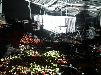 (Foto: Twitter @direccion_pc)