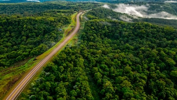 Las selvas tropicales están llegando a un punto de no retorno y la demanda global sería la causa