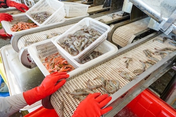 La interoperabilidad garantiza un registro