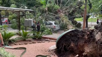 El alcalde Sebastião Melo llamó