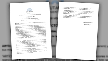 Este es el proyecto de