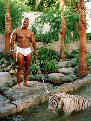 La dieta de los tigres se basaba en carne de pollo y de caballo (Markson Sparks/Shutterstock)