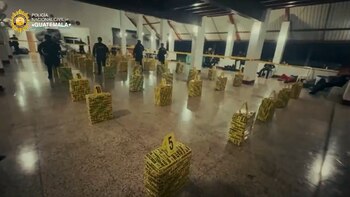 Los paquetes fueron asegurados tras