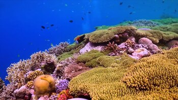 Cuidar el medio ambiente, los