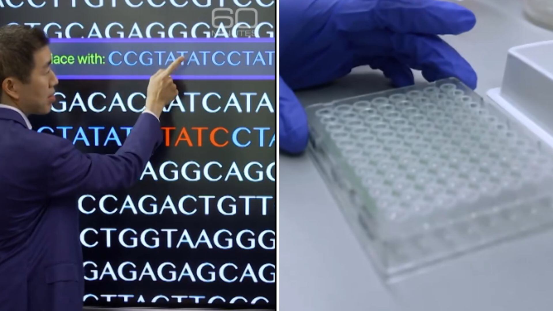 Investigadores del MIT y Harvard desarrollan PERT para restaurar la producción de proteínas en células humanas y ratones/Archivo