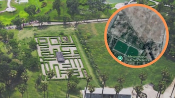 Sinchi Roca: informe de Serpar registró 24 mil árboles antes de que casi 10 hectáreas del parque fueran cedidas al Metropolitano