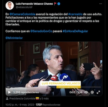 Regulación de cannabis: Ministro del Interior asegura que es una opción económica para el país