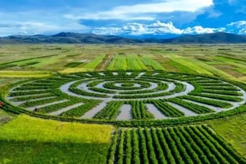 Representan conocimiento ancestral de comunidades aimaras sobre manejo de agua, suelo y biodiversidad.
