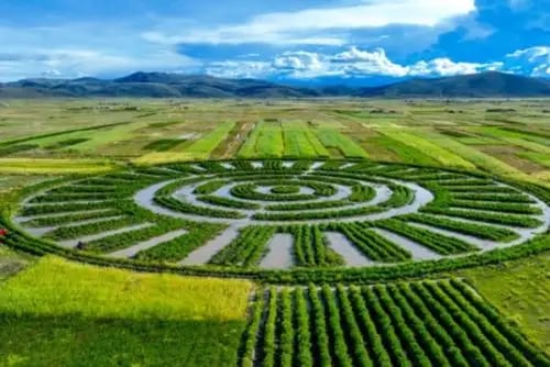 Representan conocimiento ancestral de comunidades aimaras sobre manejo de agua, suelo y biodiversidad.
