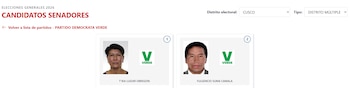 Perfiles web de candidatos al Senado: T'ika Luizar Obregon y Fulgencio Suma Camala, con sus fotos de rostro y el logo verde del Partido Demócrata Verde