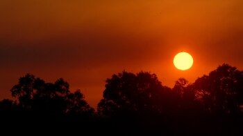 El objetivo de limitar el