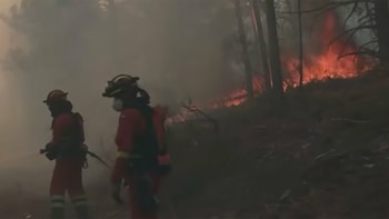 Fontainebleau enfrenta una recuperación de hasta 30 años tras los incendios