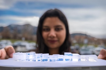 Su estructura interna, compuesta por