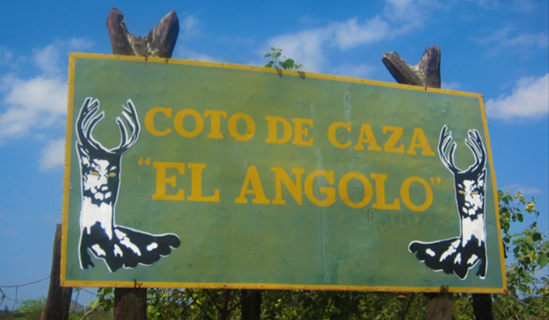 En los bosques secos del norte peruano se estableció un espacio destinado a proteger la fauna silvestre y promover el aprovechamiento sostenible de los recursos naturales. (Andina)