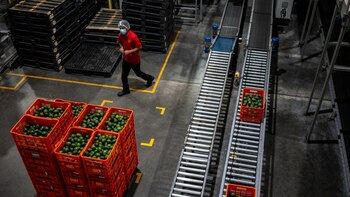 ¿Cuánto depende EE. UU. de