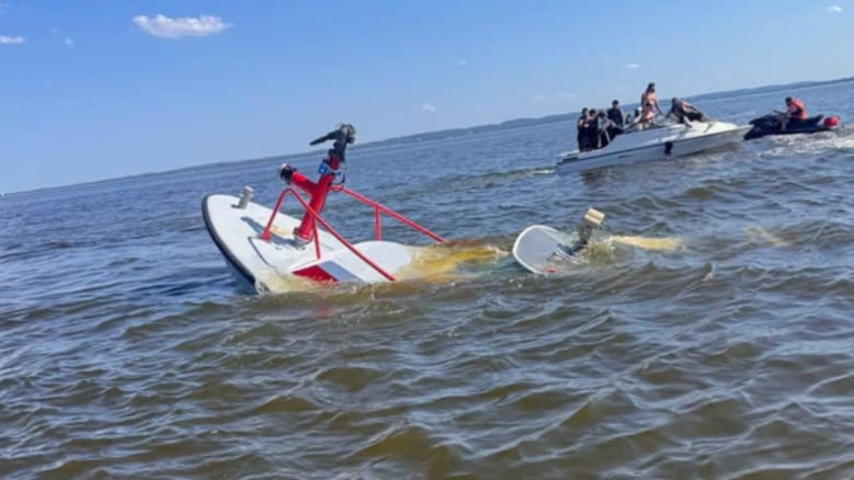Ballena golpea lancha de bomberos en Nueva Jersey y desata un rescate urgente