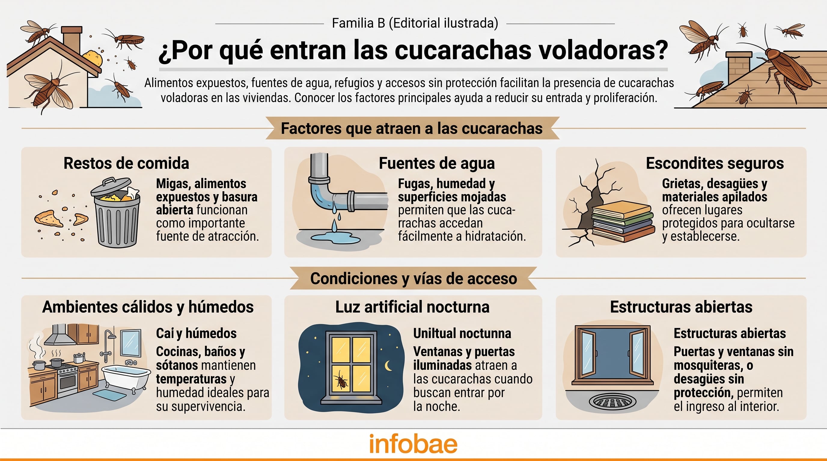 Factores y vías de acceso que facilitan la entrada de cucarachas voladoras en las viviendas. (Imagen Ilustrativa Infobae)