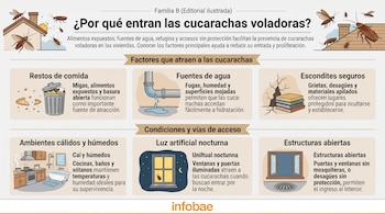 Infografía con ilustraciones sobre cucarachas, botes de basura, tuberías con fugas, ventanas iluminadas y textos explicativos.