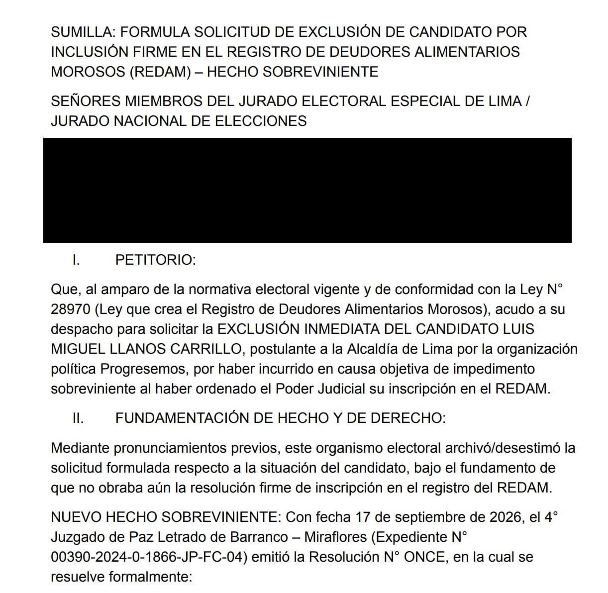 Un documento dirigido al Jurado Electoral Especial de Lima solicita la exclusión del candidato Luis Miguel Llanos Carrillo por su inscripción en el Registro de Deudores Alimentarios Morosos.