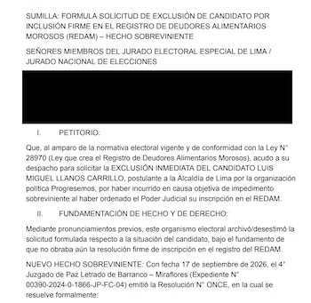 Documento impreso con texto en español que incluye una sumilla, un recuadro negro que cubre datos y los apartados de petitorio y fundamentación