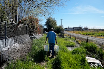 El estudio señala que el