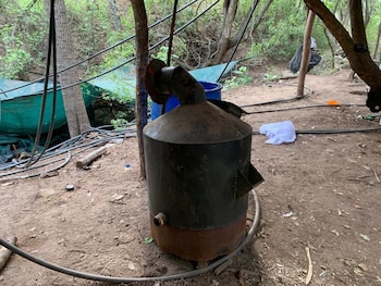 Durante el mes de junio