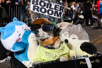 Algunas mascotas personificaron a cantantes y artistas de talla mundial.